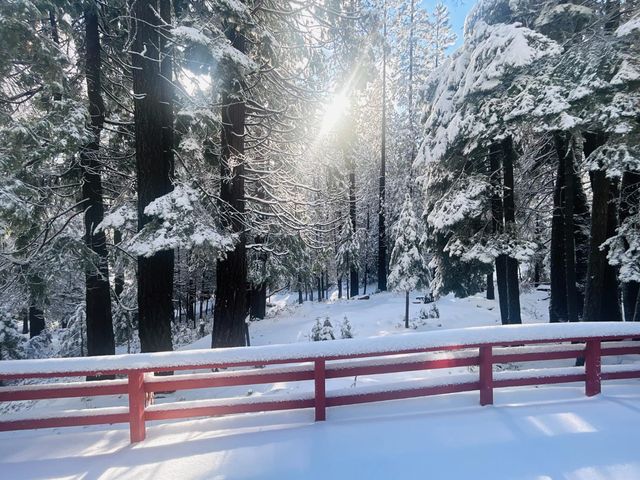 41080 Putt Rd, Alta, CA 95701