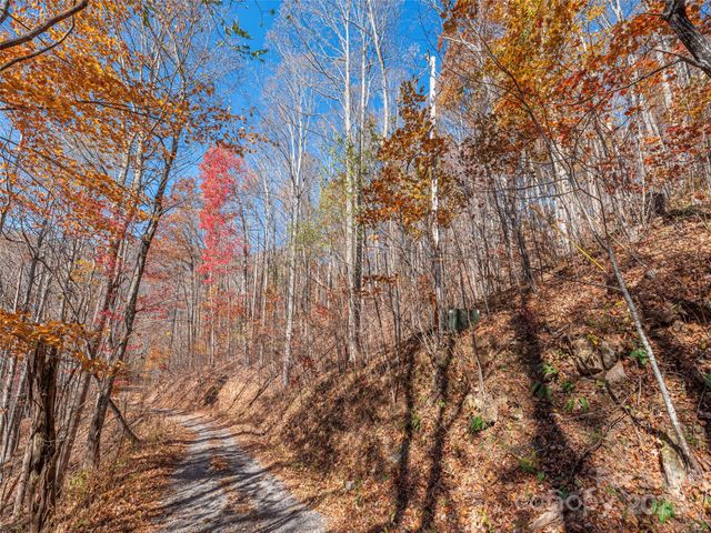 112 & 113 Grouse Road, Clyde, NC 28721