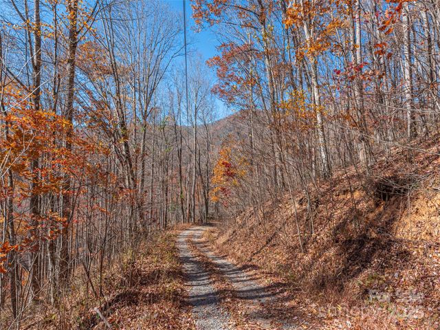 112 & 113 Grouse Road, Clyde, NC 28721