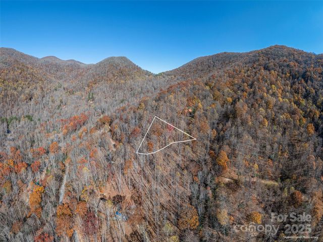 112 & 113 Grouse Road, Clyde, NC 28721