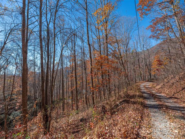 112 & 113 Grouse Road, Clyde, NC 28721