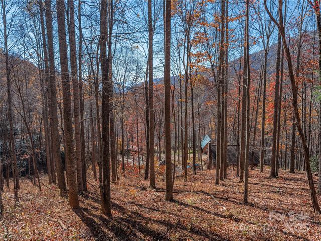 112 & 113 Grouse Road, Clyde, NC 28721