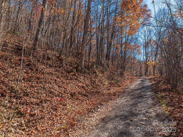 112 & 113 Grouse Road, Clyde, NC 28721