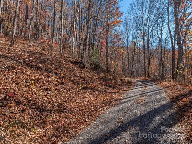 112 & 113 Grouse Road, Clyde, NC 28721