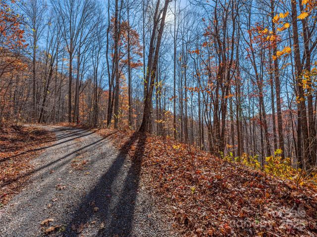 112 & 113 Grouse Road, Clyde, NC 28721