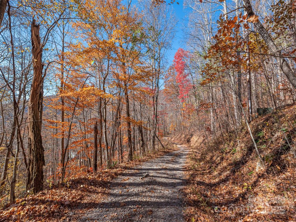 112 & 113 Grouse Road, Clyde, NC 28721