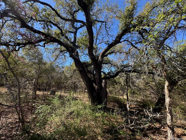 2147 TEJAS TRAIL, Blanco, TX 78606