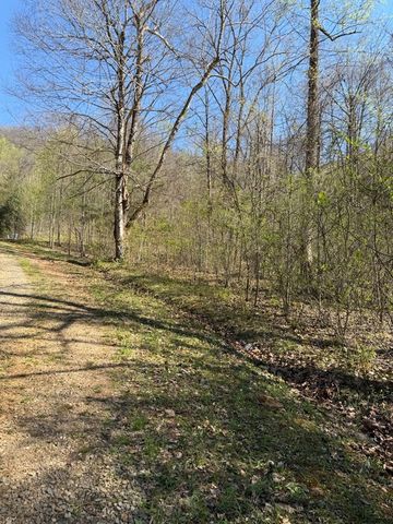 Lot 16-N High Meadows Drive, Hayesville, NC 28904