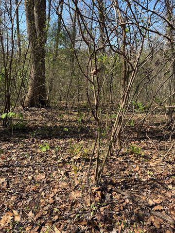 Lot 16-N High Meadows Drive, Hayesville, NC 28904