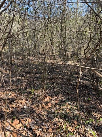 Lot 16-N High Meadows Drive, Hayesville, NC 28904