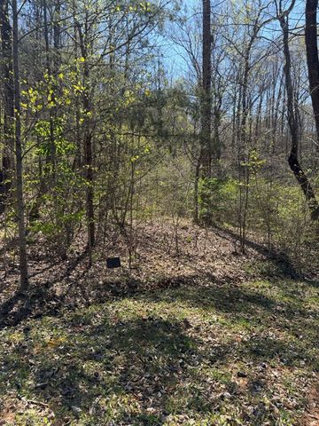Lot 16-N High Meadows Drive, Hayesville, NC 28904