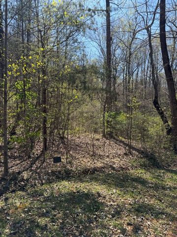 Lot 16-N High Meadows Drive, Hayesville, NC 28904