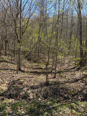 Lot 16-N High Meadows Drive, Hayesville, NC 28904