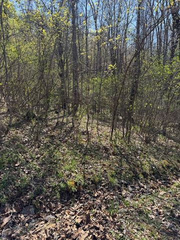 Lot 16-N High Meadows Drive, Hayesville, NC 28904