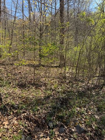 Lot 16-N High Meadows Drive, Hayesville, NC 28904