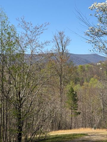 Lot 16-N High Meadows Drive, Hayesville, NC 28904