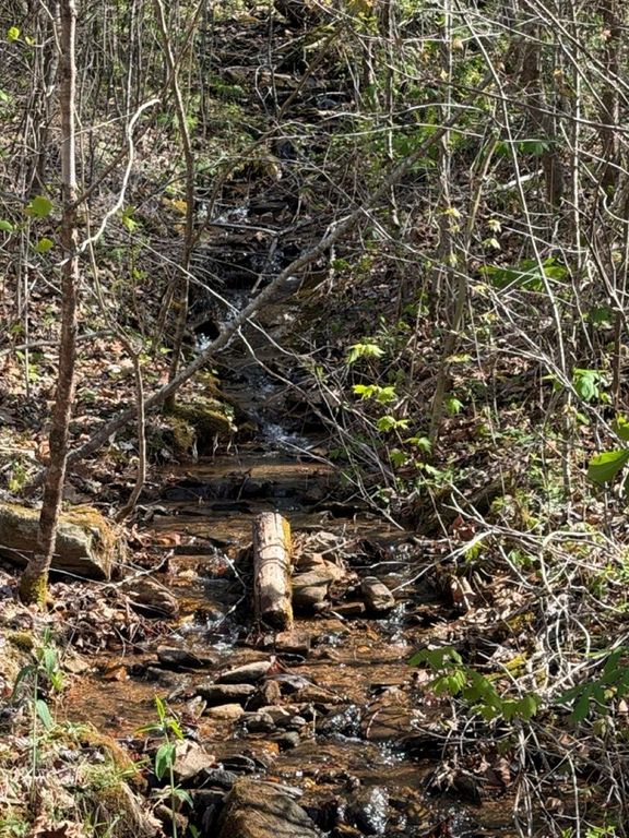 Lot 16-N High Meadows Drive, Hayesville, NC 28904
