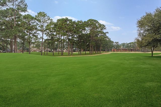 14007 Fountainview Drive, Montgomery, TX 77356