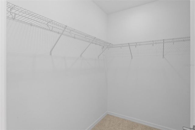 1135 CALICO POINTE CIRCLE, Groveland, FL 34736