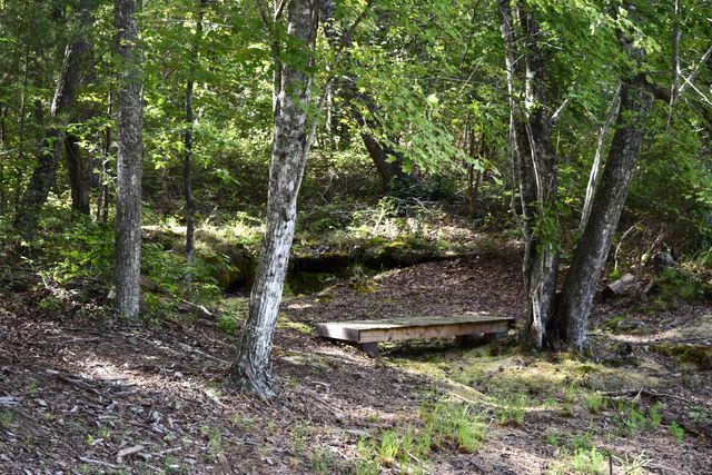 1038 Sawmill Creek Road, Dunlap, TN 37327