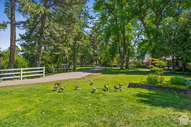 4178 S 650 E, Murray, UT 84107