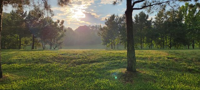 10407 Roman Hills Court, Houston, TX 77070