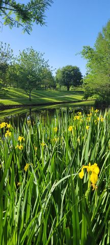 10407 Roman Hills Court, Houston, TX 77070