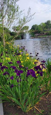 10407 Roman Hills Court, Houston, TX 77070