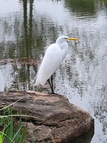 10407 Roman Hills Court, Houston, TX 77070