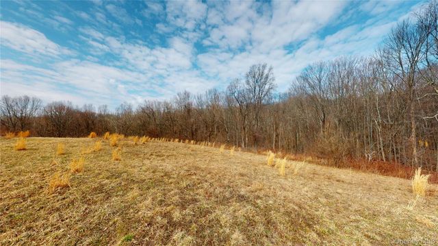 46 Blue Heron Lane, Port Jervis, NY 12771