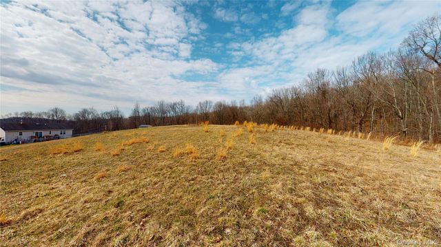 46 Blue Heron Lane, Port Jervis, NY 12771