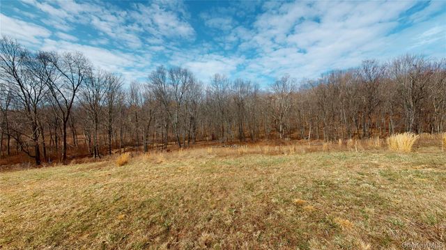 46 Blue Heron Lane, Port Jervis, NY 12771