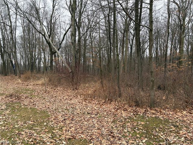 42082 Duquesne Street W, Columbiana, OH 44408