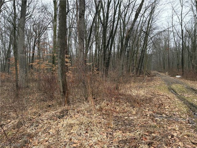 42082 Duquesne Street W, Columbiana, OH 44408