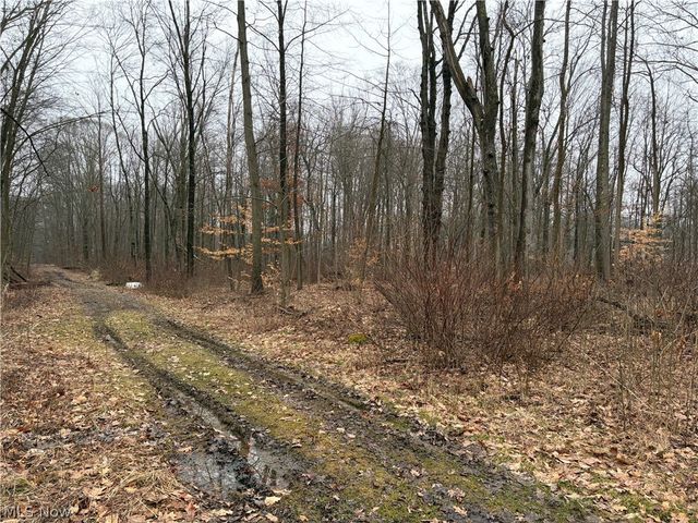 42082 Duquesne Street W, Columbiana, OH 44408