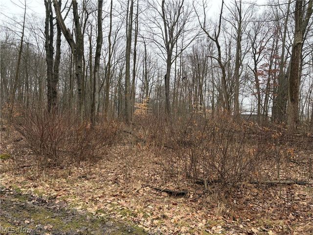 42082 Duquesne Street W, Columbiana, OH 44408