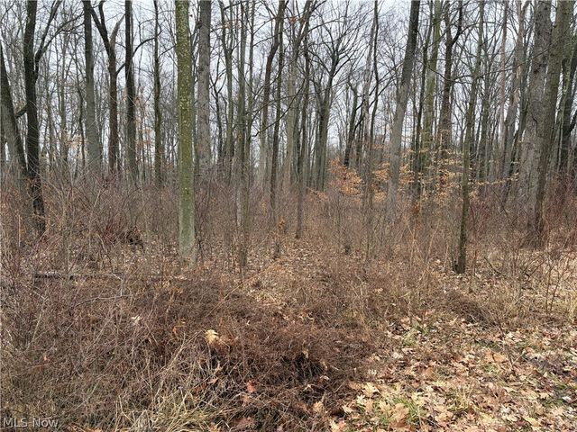 42082 Duquesne Street W, Columbiana, OH 44408