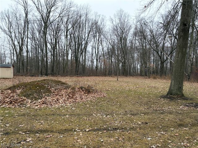 42082 Duquesne Street W, Columbiana, OH 44408