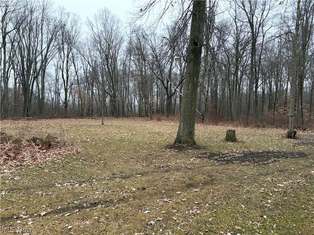 42082 Duquesne Street W, Columbiana, OH 44408