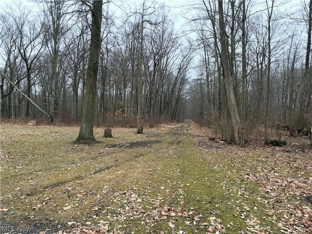 42082 Duquesne Street W, Columbiana, OH 44408