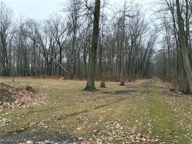 42082 Duquesne Street W, Columbiana, OH 44408