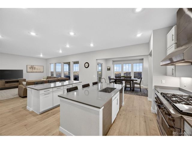 3953 Treadway Pt, Castle Rock, CO 80108