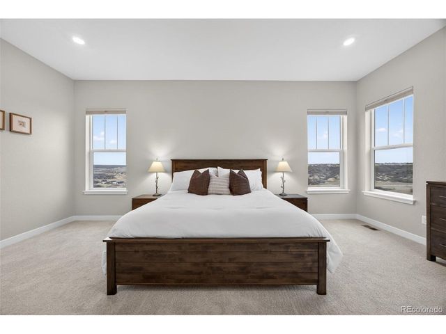 3953 Treadway Pt, Castle Rock, CO 80108