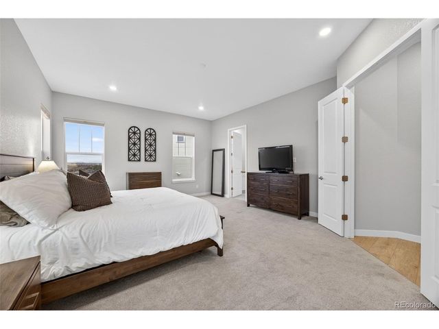 3953 Treadway Pt, Castle Rock, CO 80108