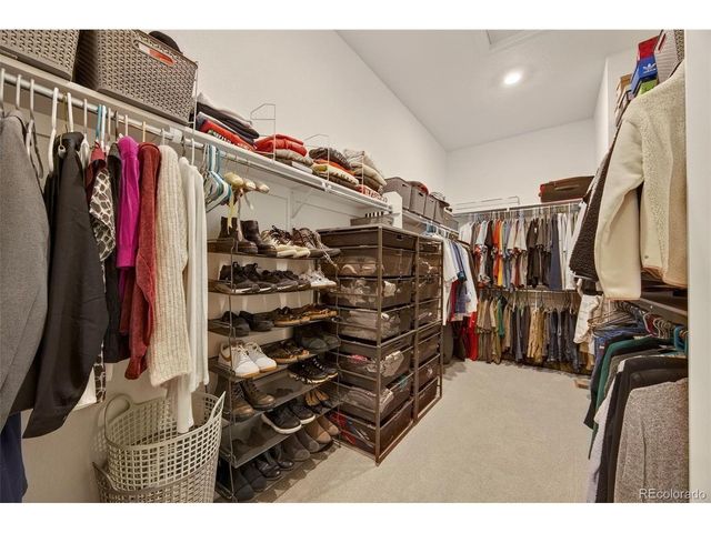 3953 Treadway Pt, Castle Rock, CO 80108