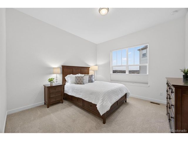 3953 Treadway Pt, Castle Rock, CO 80108