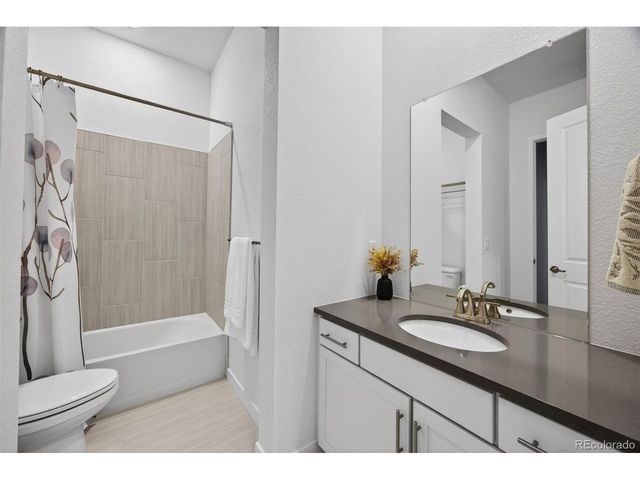 3953 Treadway Pt, Castle Rock, CO 80108