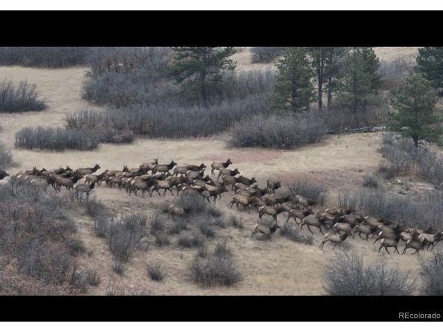 3953 Treadway Pt, Castle Rock, CO 80108