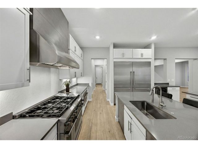 3953 Treadway Pt, Castle Rock, CO 80108