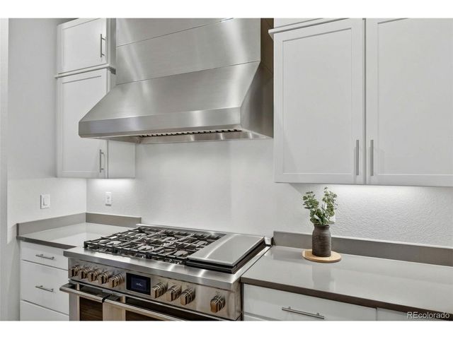 3953 Treadway Pt, Castle Rock, CO 80108